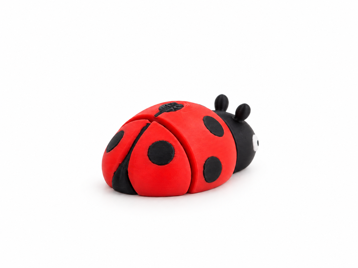 Coccinella - Mini Zoo