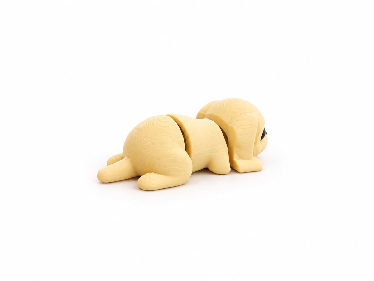Cane - Mini Zoo