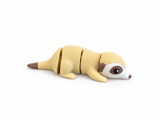 Suricato - Mini Zoo