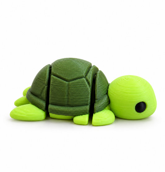 Tartaruga - Mini Zoo