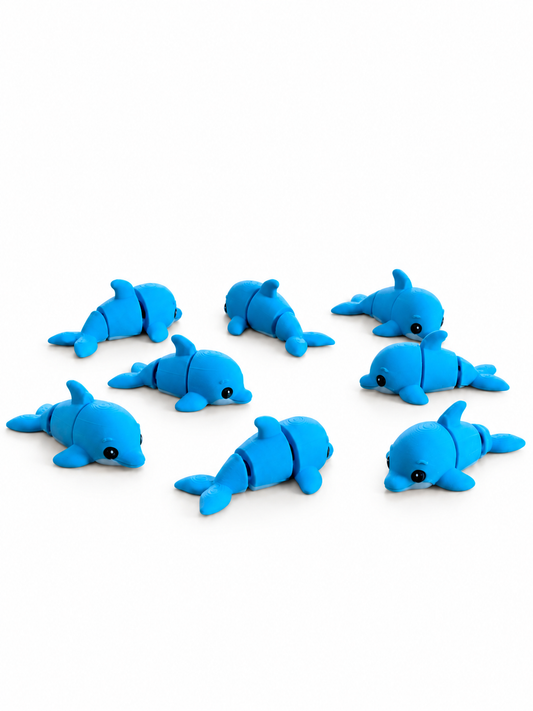 Delfini - Mini Zoo