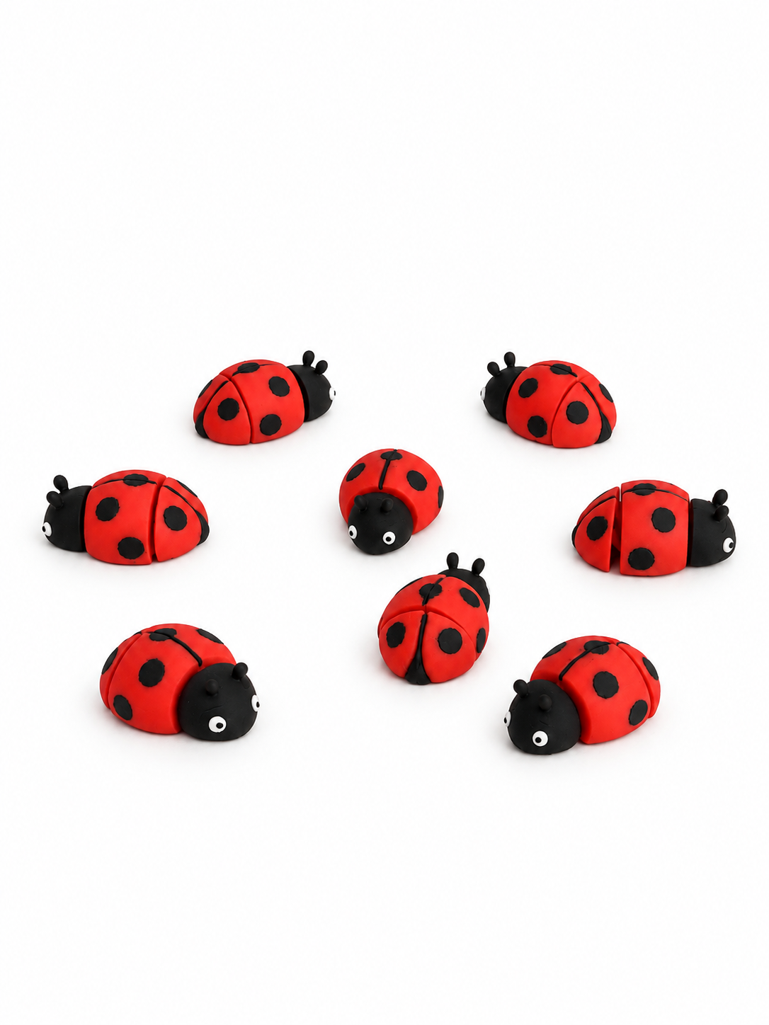 Coccinella - Mini Zoo