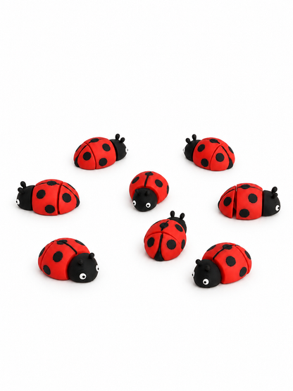 Coccinella - Mini Zoo