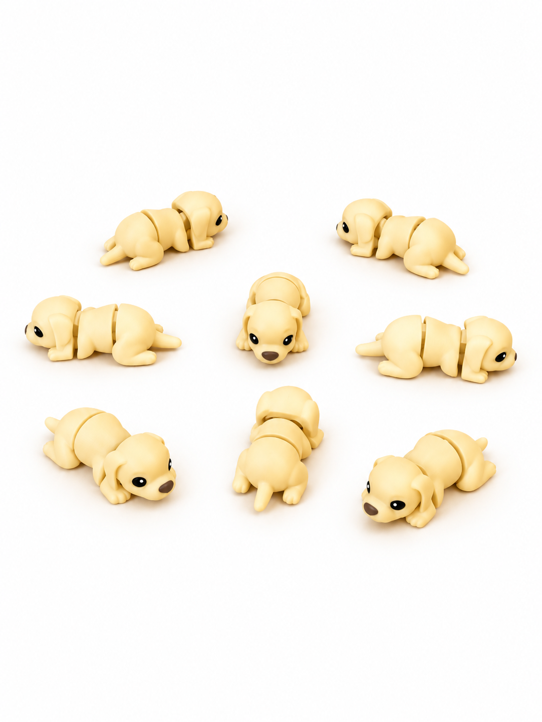 Cane - Mini Zoo