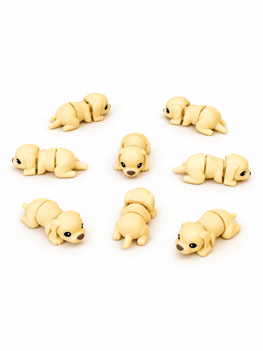 Cane - Mini Zoo