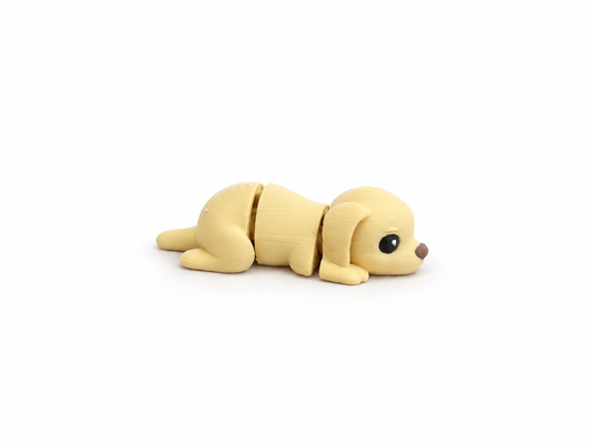 Cane - Mini Zoo