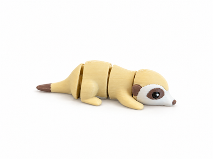Suricato - Mini Zoo