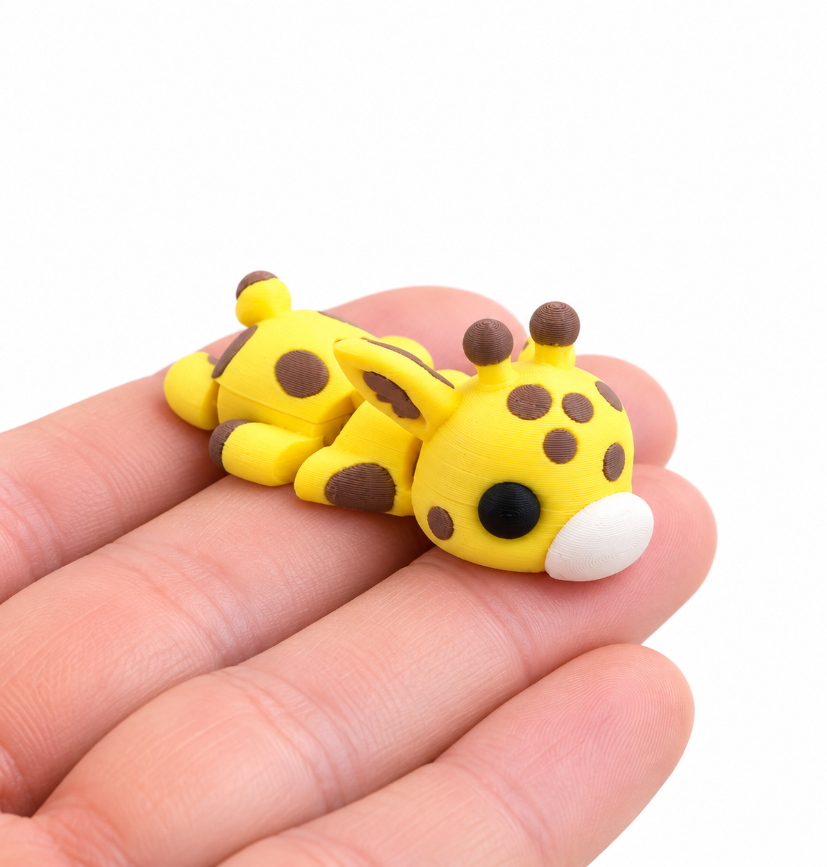 Giraffa - Mini Zoo