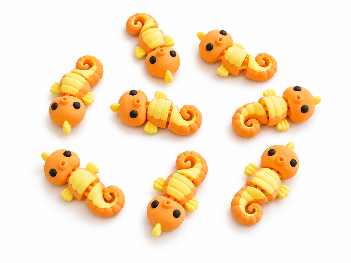 Cavalluccio Marino - Mini Zoo