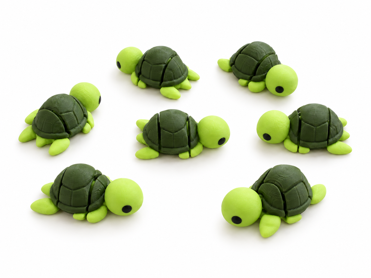 Tartaruga - Mini Zoo