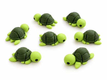 Tartaruga - Mini Zoo