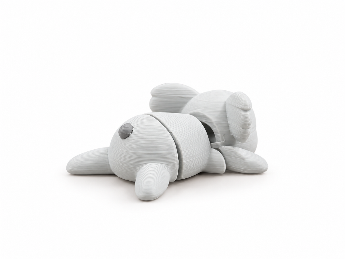 Koala - Mini Zoo
